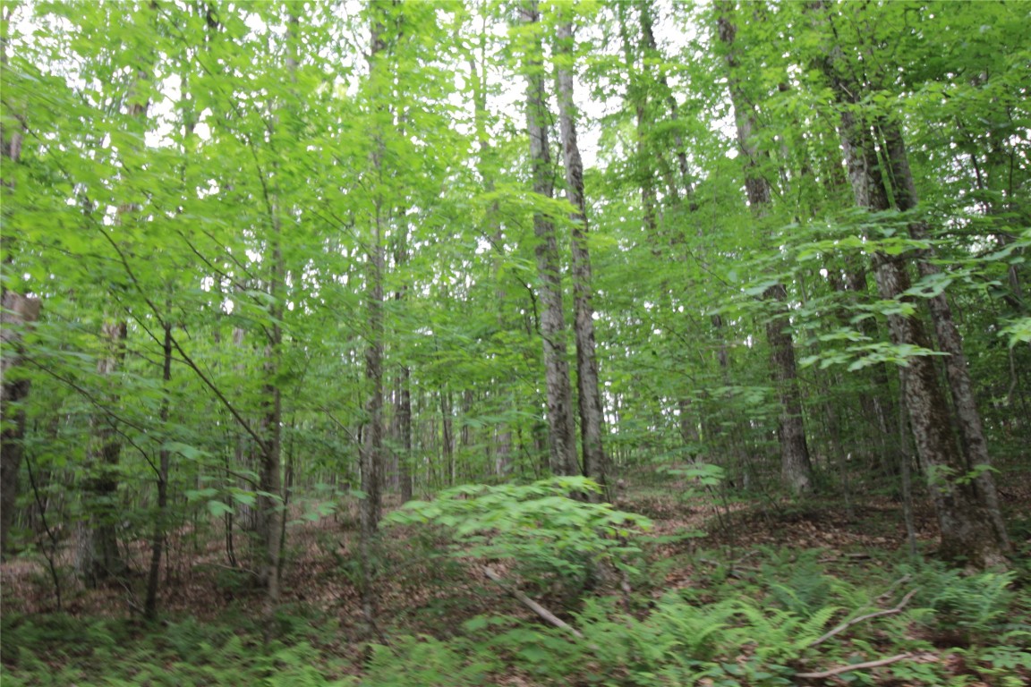 106 Lingee Road Afton, NY 13730 - Photo 25 of 33