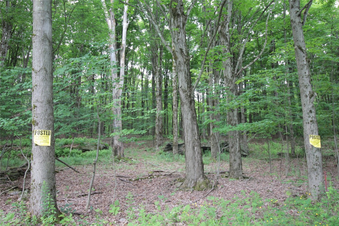 106 Lingee Road Afton, NY 13730 - Photo 27 of 33