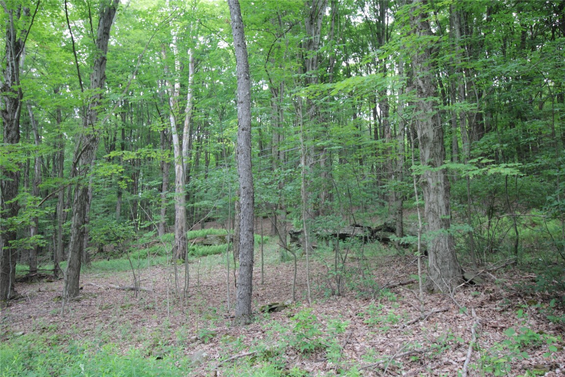 106 Lingee Road Afton, NY 13730 - Photo 28 of 33