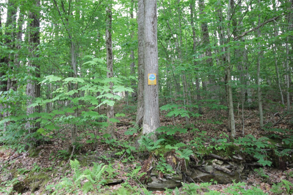 106 Lingee Road Afton, NY 13730 - Photo 29 of 33