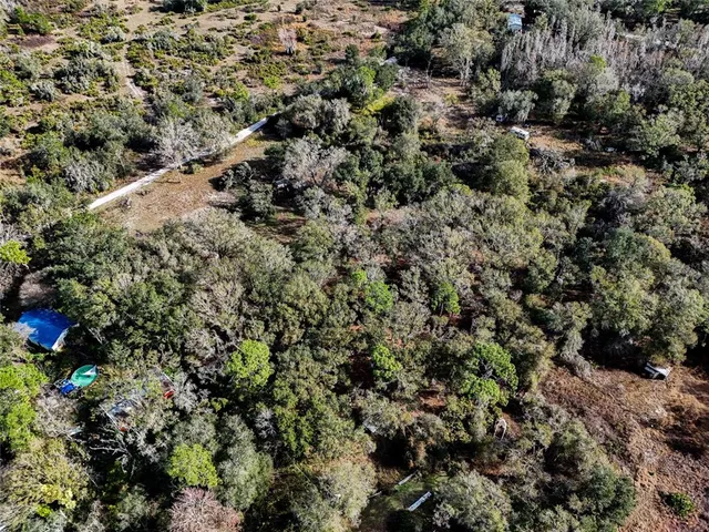 a view of a city with lush green forest