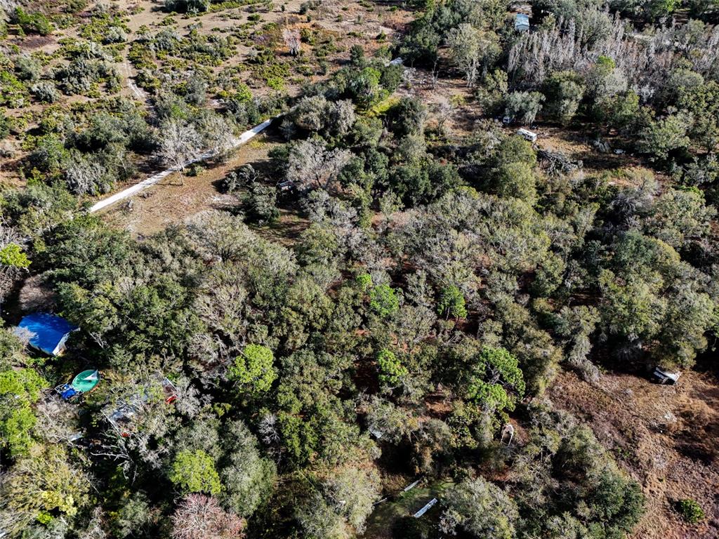 40550 Sutorus Road Zephyrhills, FL 33540 - Photo 6 of 9 a view of a city with lush green forest