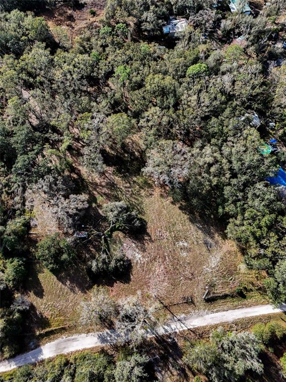 40550 Sutorus Road Zephyrhills, FL 33540 - Photo 8 of 9 a view of a yard with green space