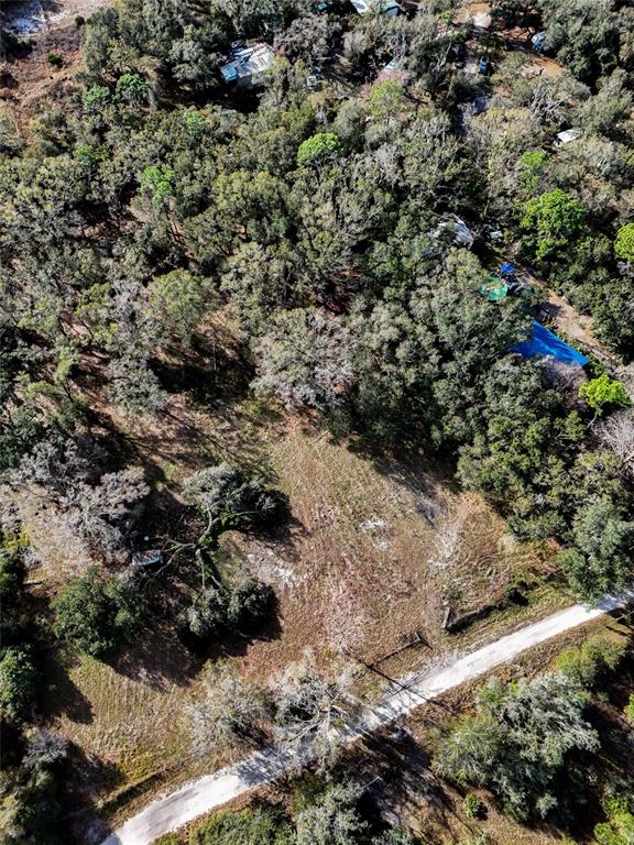 40550 Sutorus Road Zephyrhills, FL 33540 - Photo 9 of 9 a view of a forest with a forest