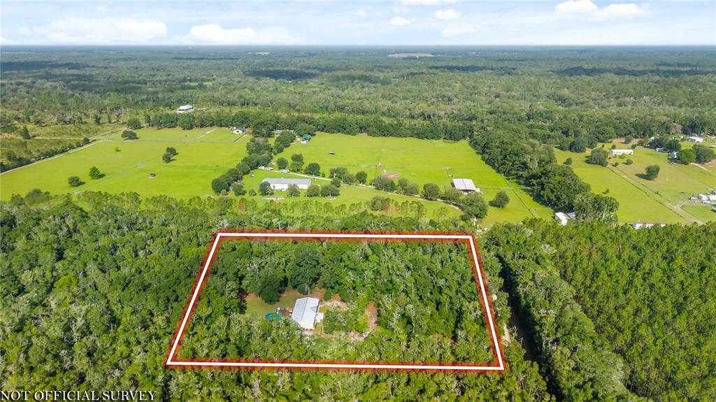 6679 Northwest 27th Place Bell, FL 32619 - Photo 54 of 55