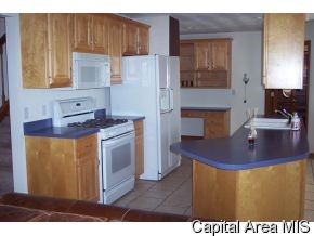 327 Bristol Road Chatham, IL 62629 - Photo 6 of 12 Gallery Image 6
