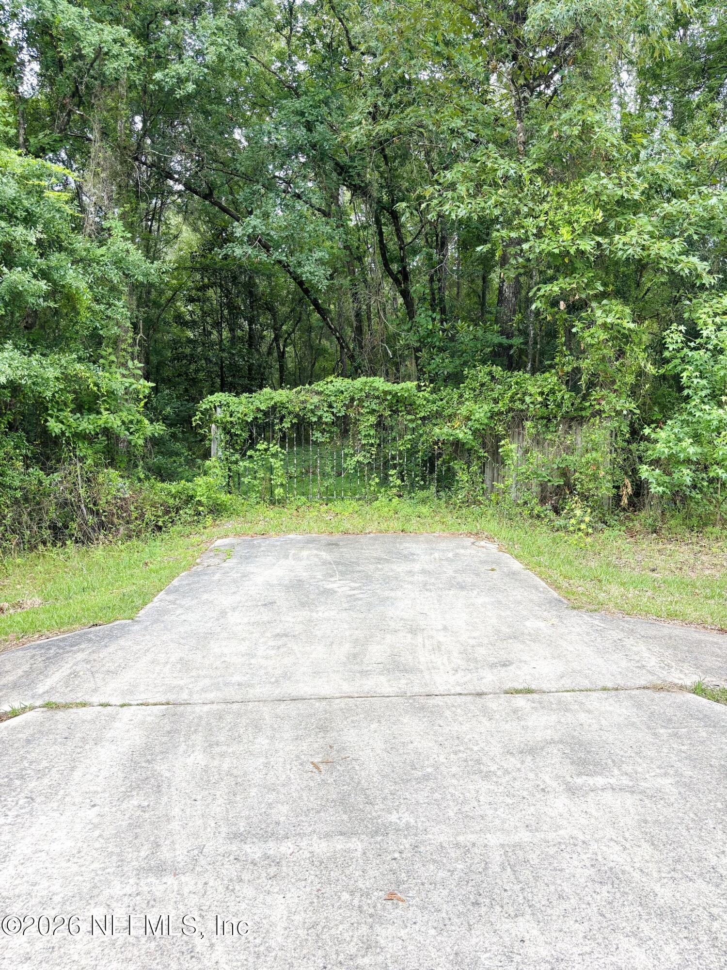 0 Lake Hampton Road Hilliard, FL 32046 - Photo 2 of 23 a view of backyard with green space