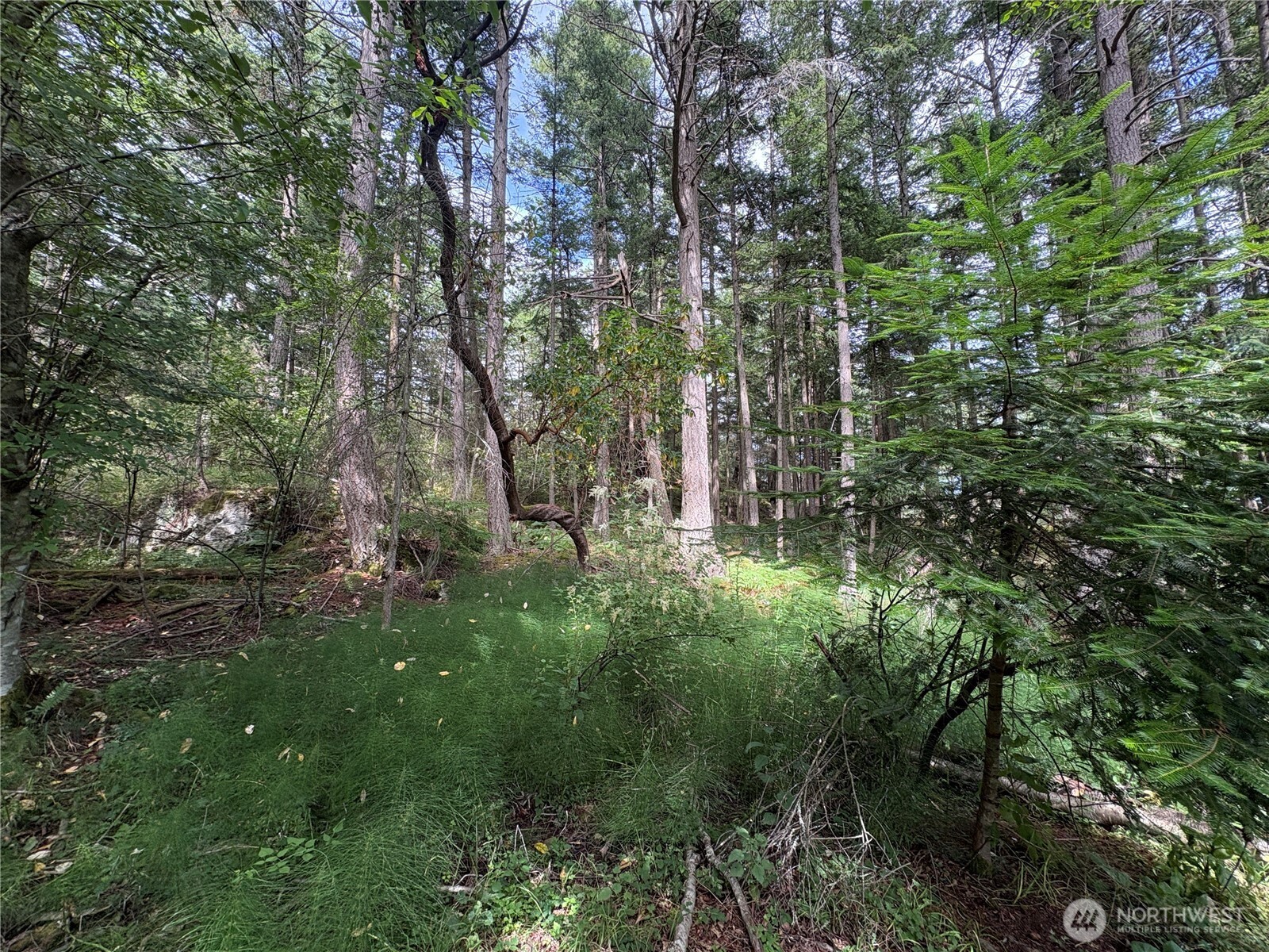 14 Rosario Road Orcas Island, WA 98245 - Photo 18 of 39
