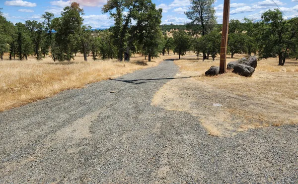 a view of backyard of the house