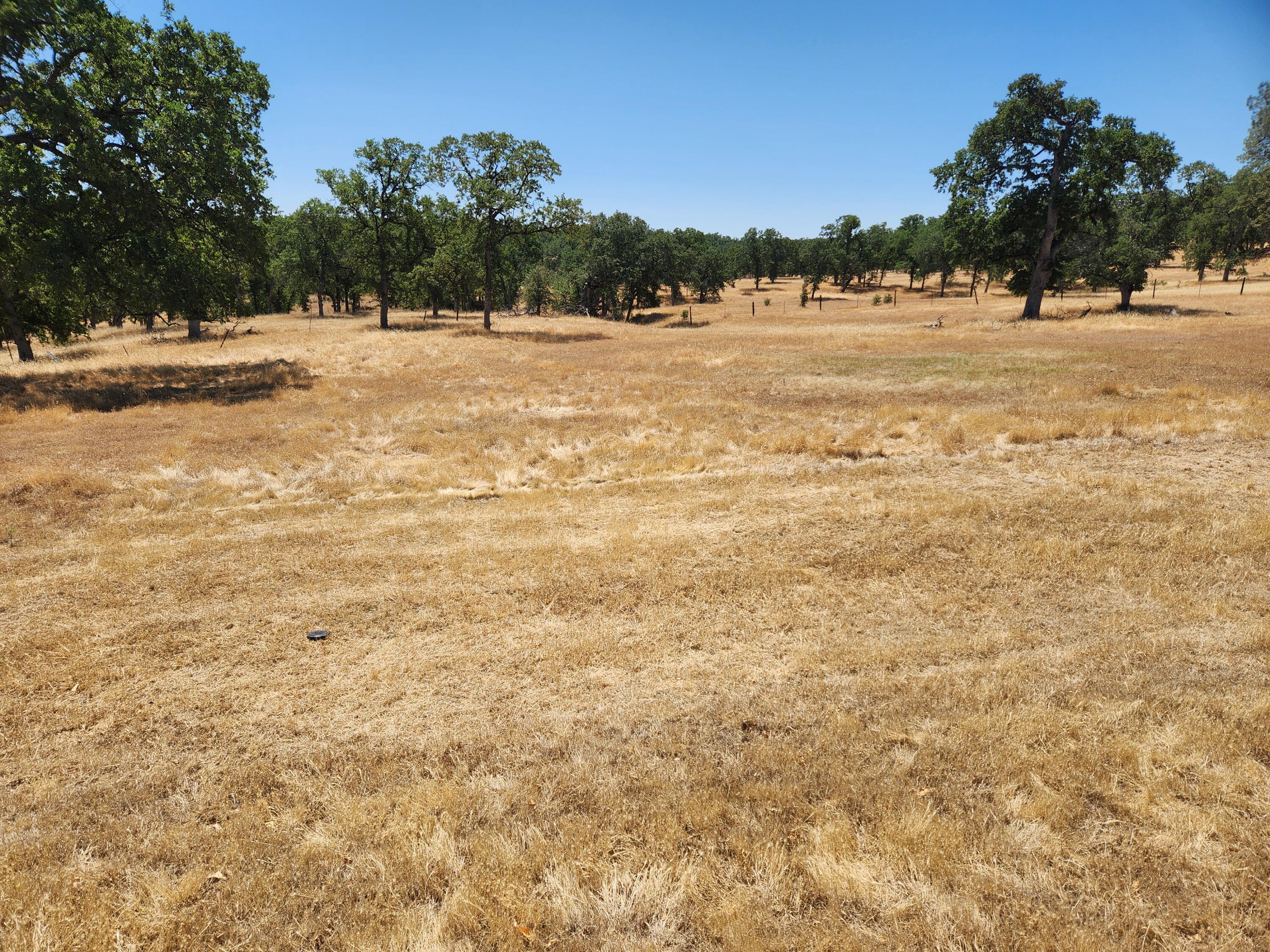 24327 Bascom Road Millville, CA 96062 - Photo 13 of 13 a view of ocean view
