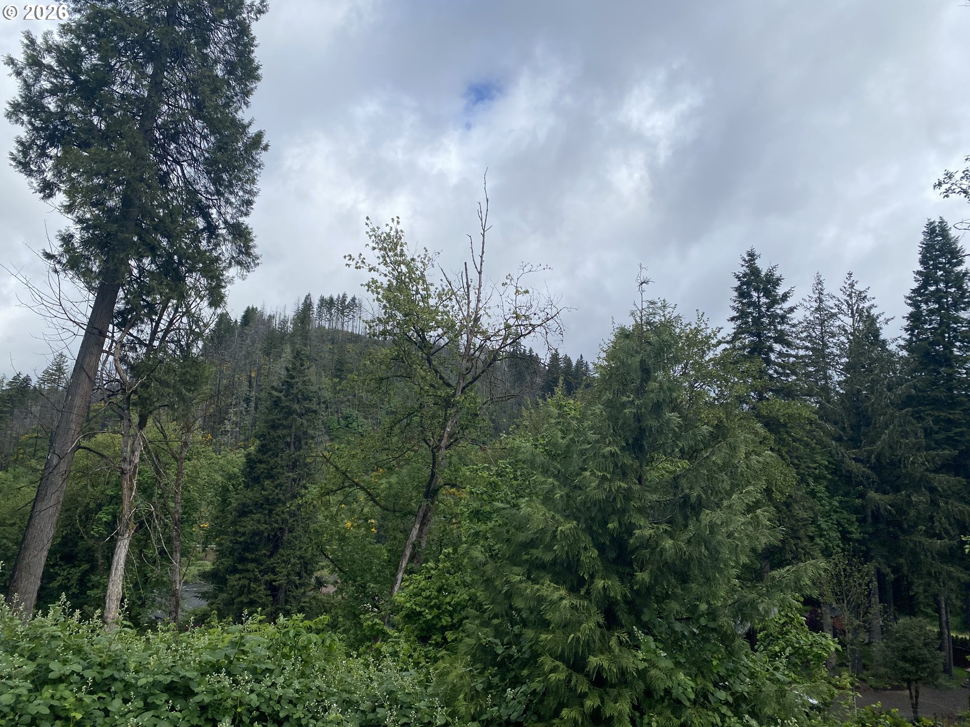 45300 Goodpasture Road Vida, OR 97488 - Photo 8 of 38