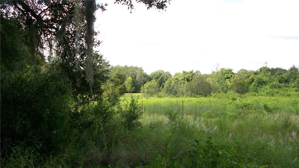 North Austin Merritt Road Groveland, FL 34736 - Photo 1 of 1 Gallery Image 1