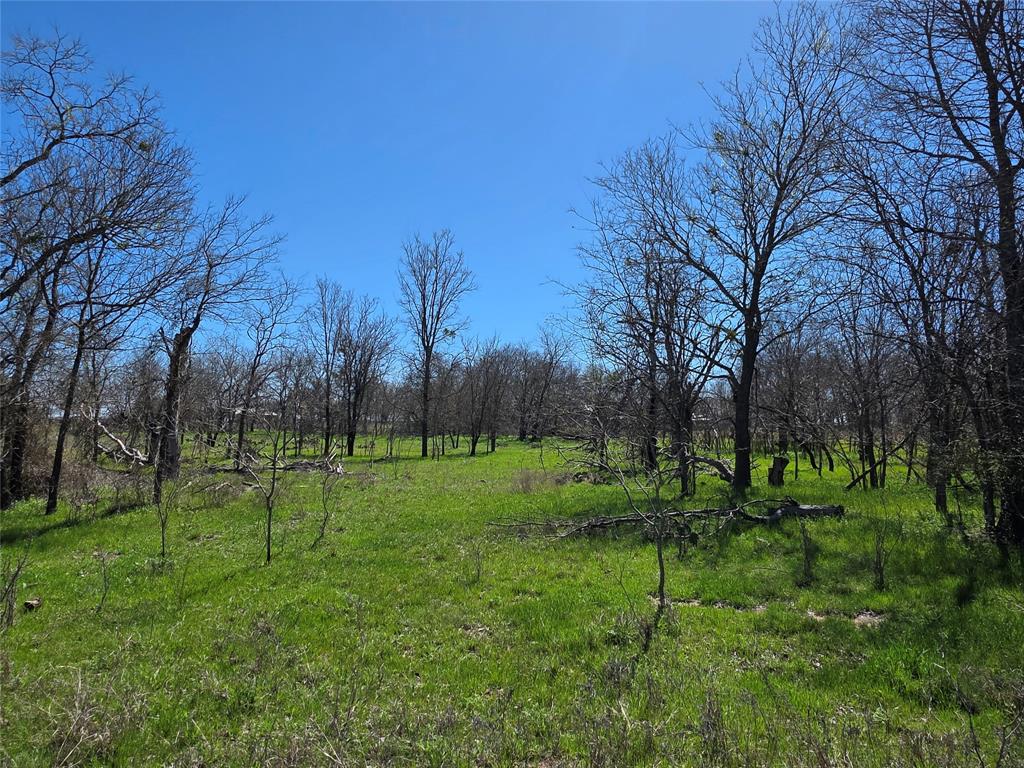 309 Highway 36 Gustine, TX 76455 - Photo 9 of 36 a view of a park