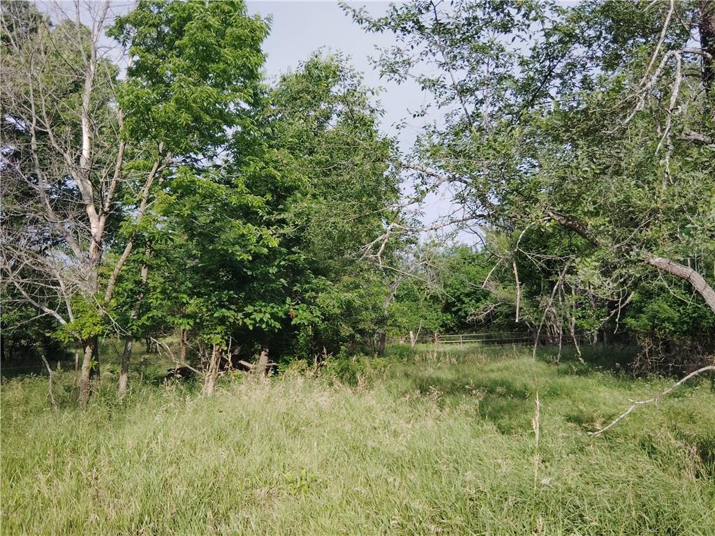 30218 Maple Grove Road Rantoul, KS 66079 - Photo 6 of 14