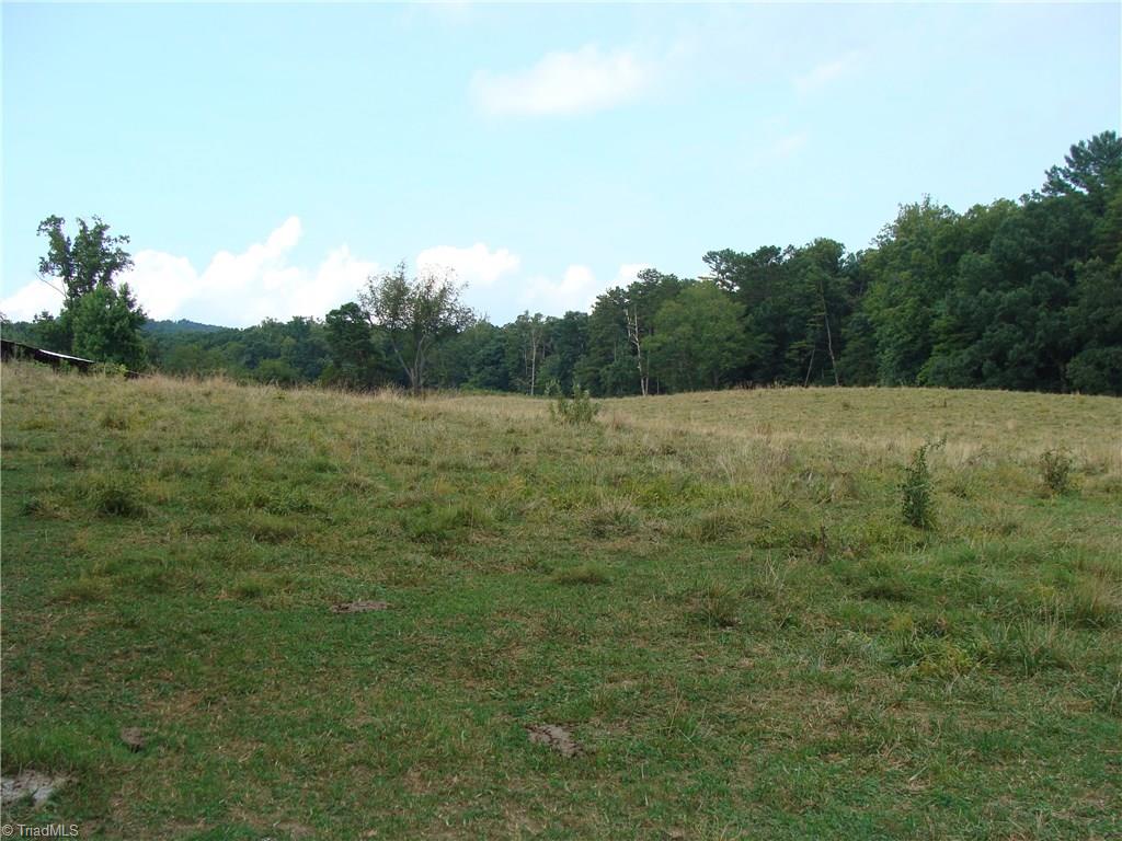 5111 Traphill Road Hays, NC 28635 - Photo 14 of 30 Gallery Image 14