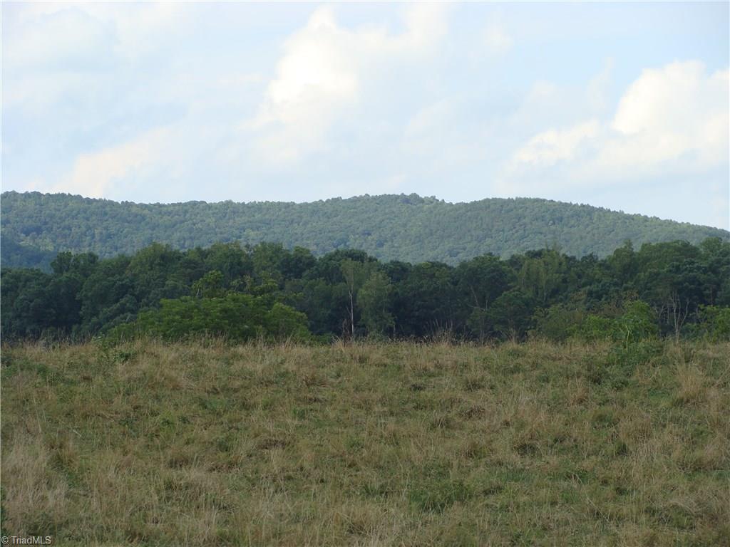 5111 Traphill Road Hays, NC 28635 - Photo 17 of 30 Gallery Image 17