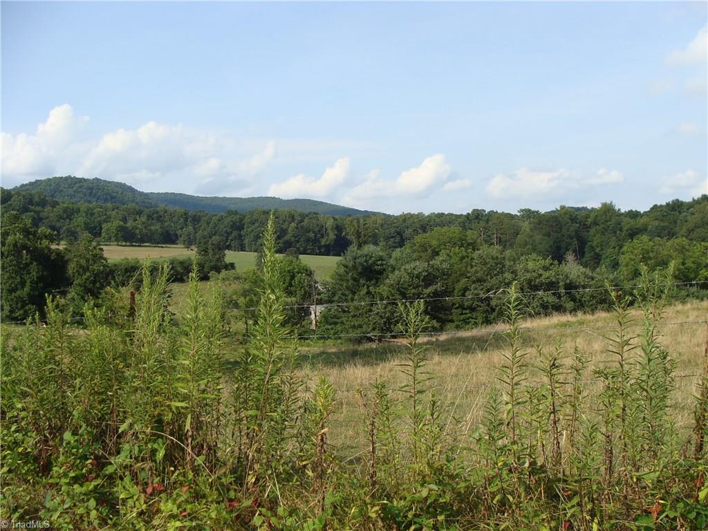 5111 Traphill Road Hays, NC 28635 - Photo 18 of 30 Gallery Image 18
