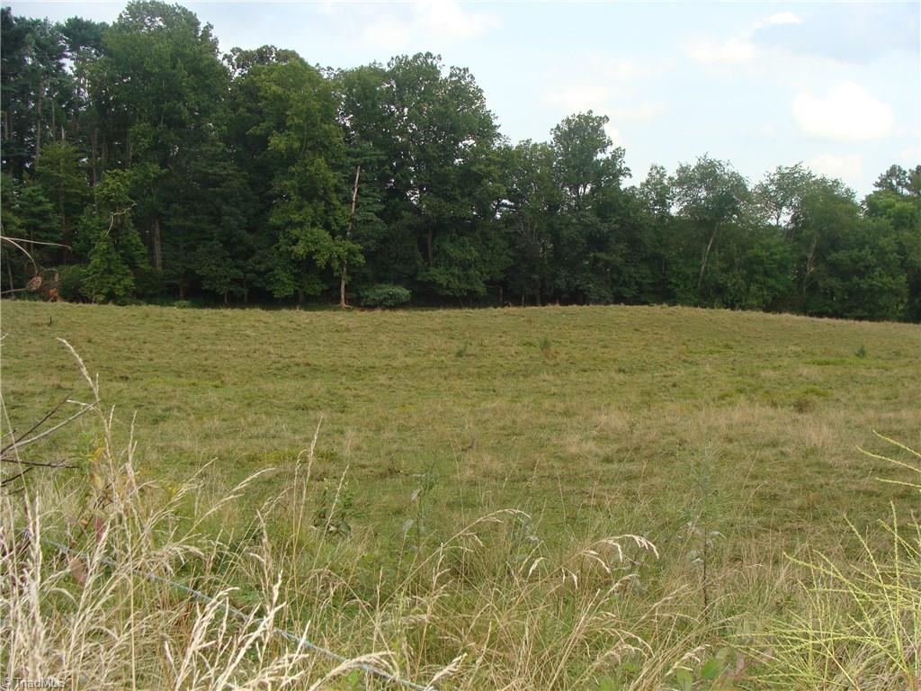 5111 Traphill Road Hays, NC 28635 - Photo 7 of 30 Gallery Image 7