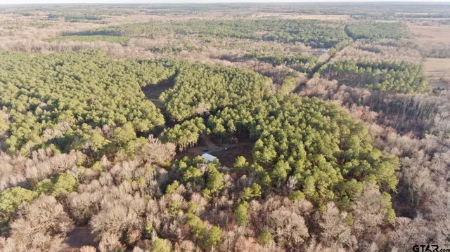 a view of a wooden fence
