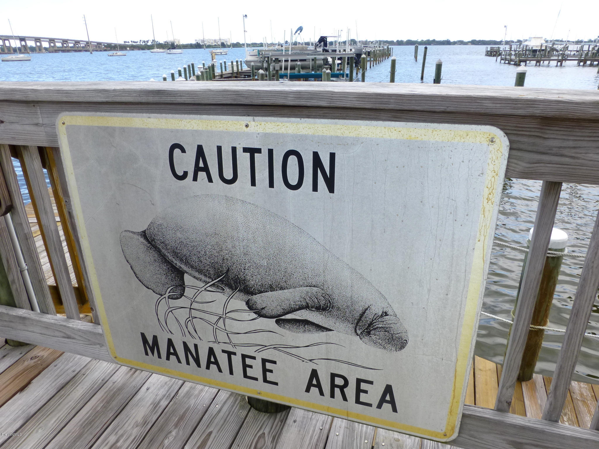 102 Riverside Drive, Unit 503 Cocoa, FL 32922 - Photo 23 of 30 Marina Manatee Sign