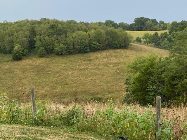 627 Jett Road Brooksville, KY 41004 - Photo 30 of 44 Gallery Image 30