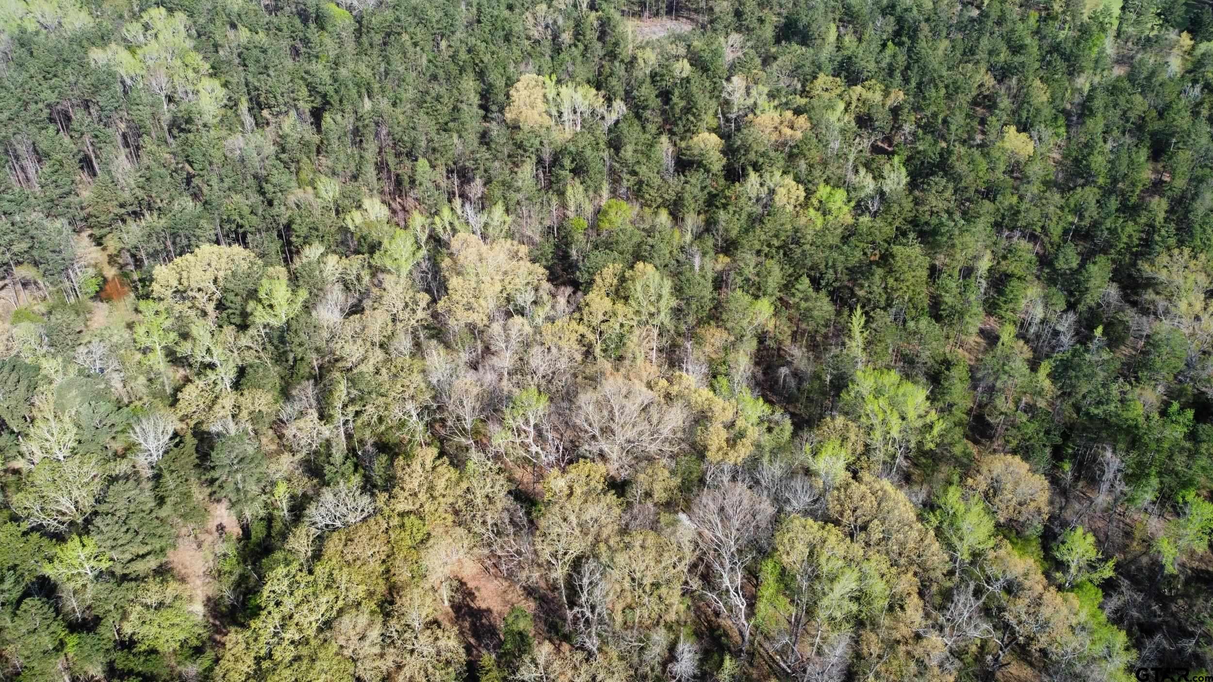 0 C R 434 Lindale, TX 75771 - Photo 20 of 29