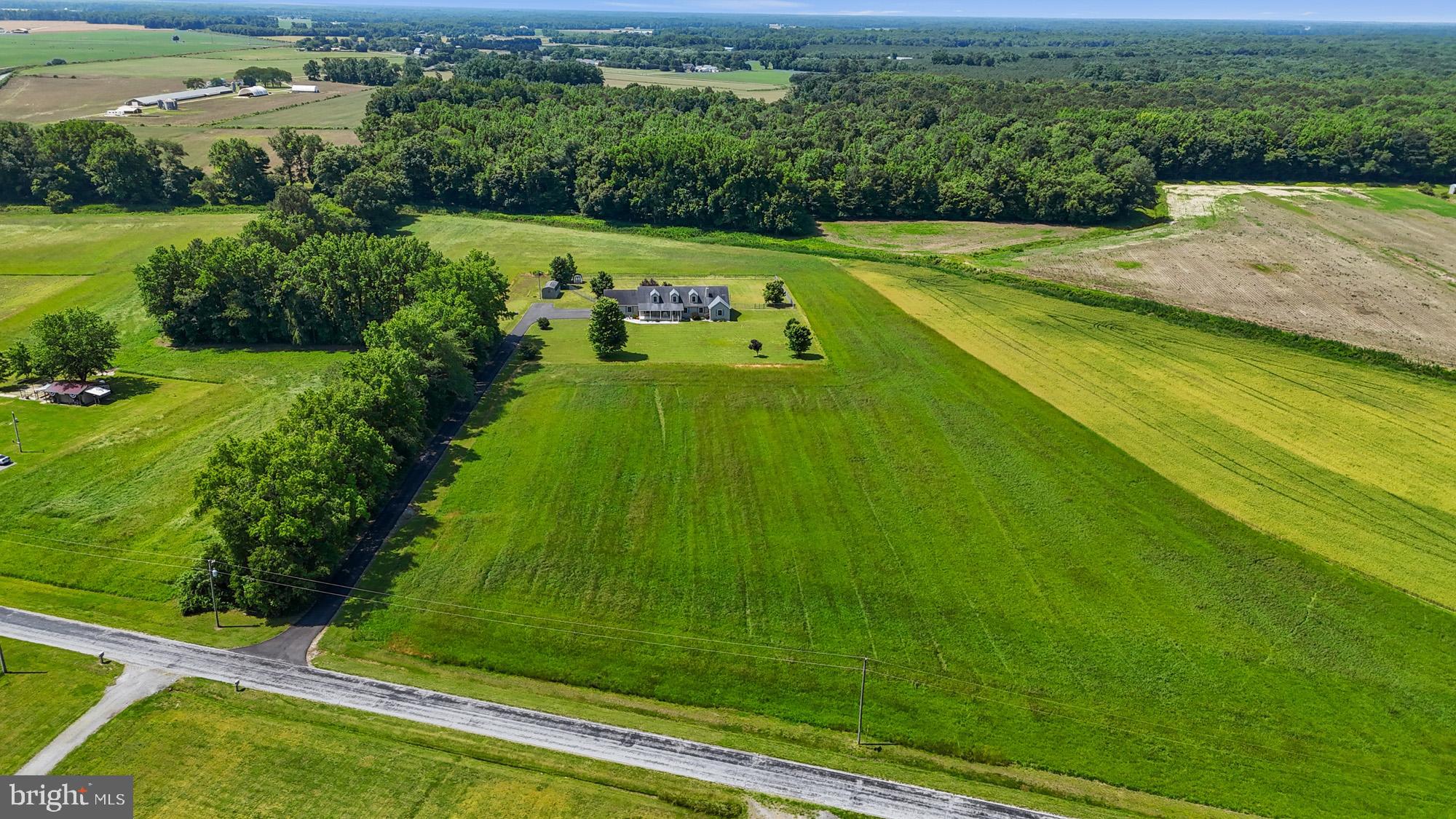 480 Hemping Road Harrington, DE 19952 - Photo 9 of 40 a view of a field with grass