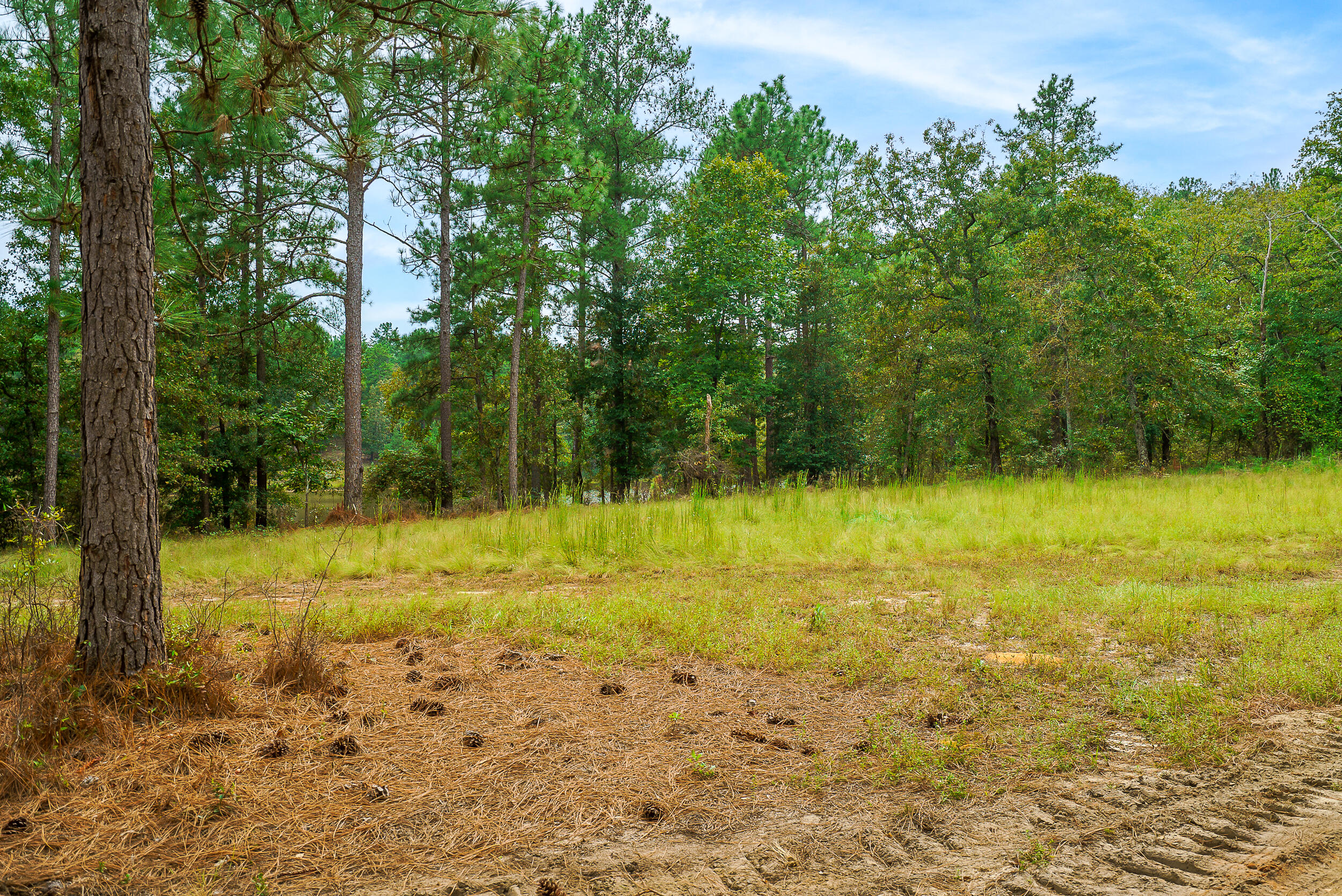 411 Snipes Pond Road Aiken, SC 29805 - Photo 12 of 23
