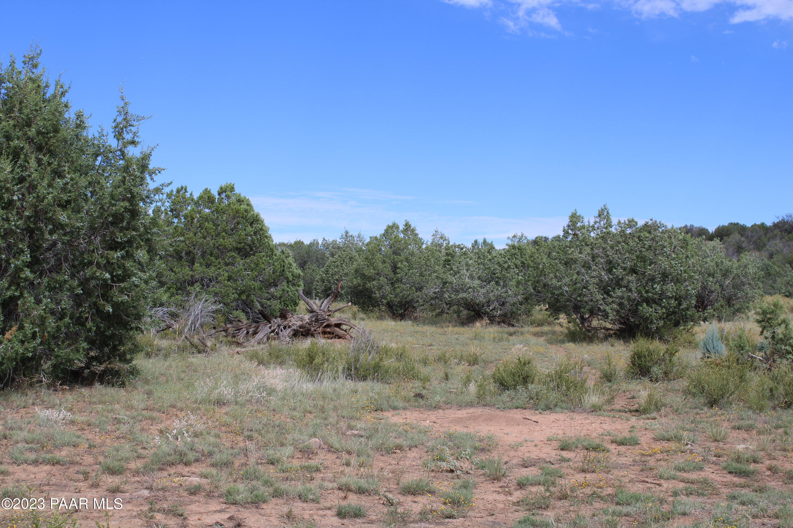 5886 North Ten Tanks Road Ash Fork, AZ 86320 - Photo 3 of 16 9 (1)