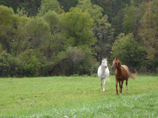 1197 Tobaccoville Road Rural Hall, NC 27045 - Photo 9 of 9 Other.