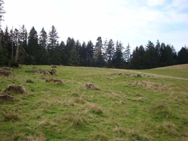 0 Berta Road Eureka, CA 95503 - Photo 13 of 20