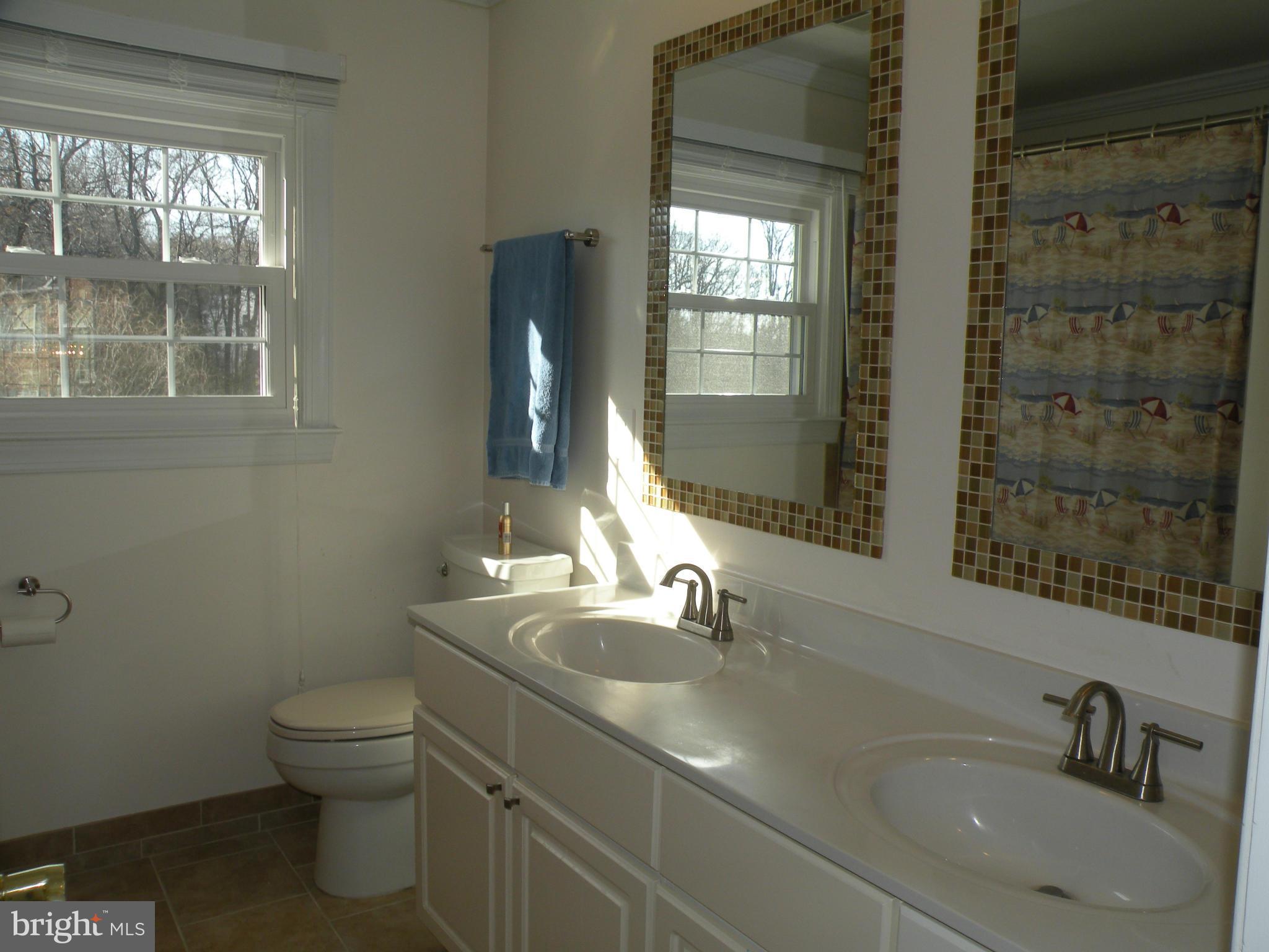 3231 Breckenridge Way Riva, MD 21140 - Photo 21 of 30 a bathroom with a sink a toilet and a mirror