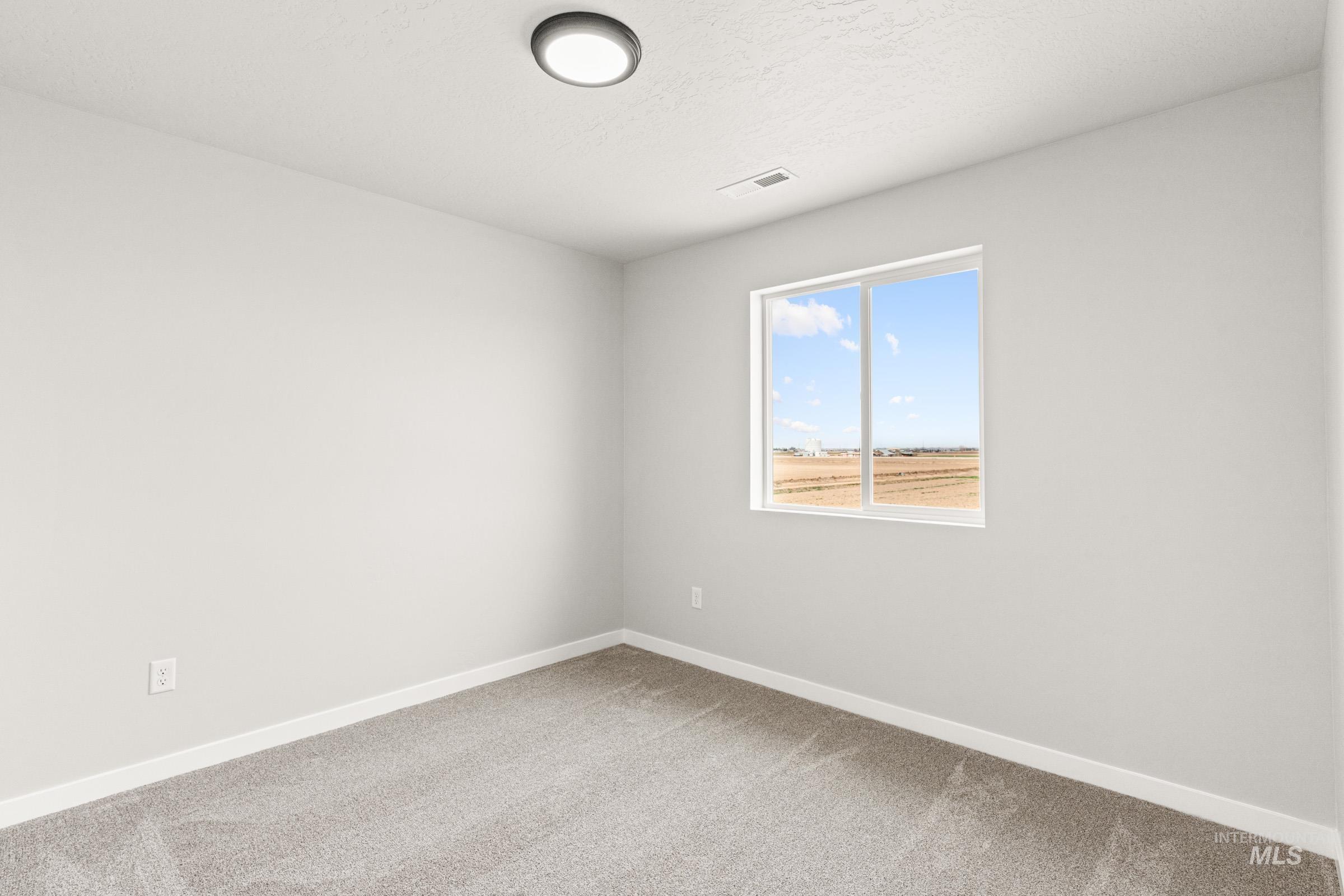 12830 Ropers Street Nampa, ID 83651 - Photo 15 of 18 Room featuring a double-pane window, neutral carpet flooring, white baseboards, and a flush-mount ceiling light