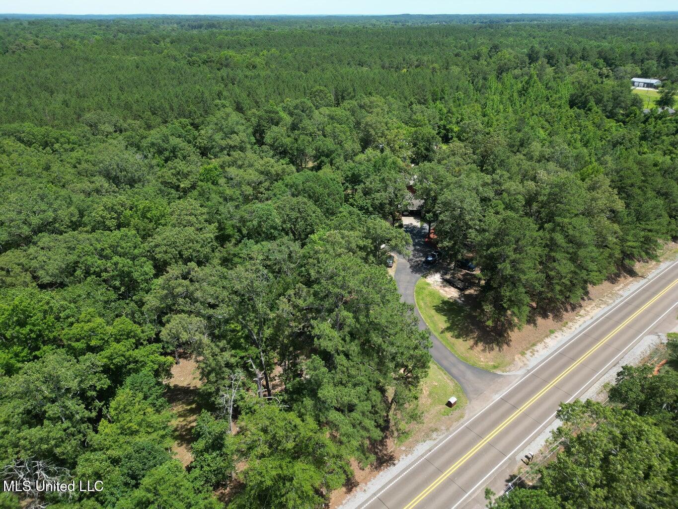 18159 Highway 15 Decatur, MS 39327 - Photo 40 of 40 20240612133035550146000000-o
