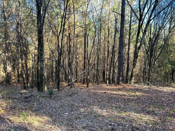 $135,900 | 15.53-ac Redman Rdg Lane, Decatur, TN 37322