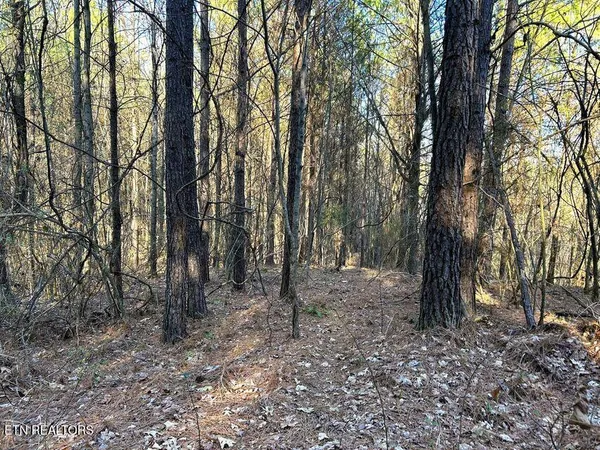 $135,900 | 15.53-ac Redman Rdg Lane, Decatur, TN 37322
