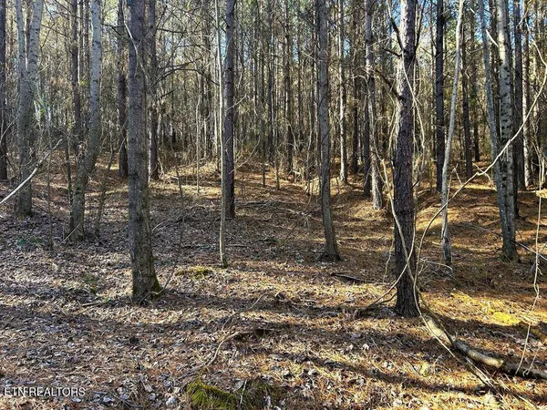 $135,900 | 15.53-ac Redman Rdg Lane, Decatur, TN 37322