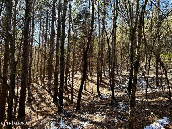 $135,900 | 15.53-ac Redman Rdg Lane, Decatur, TN 37322