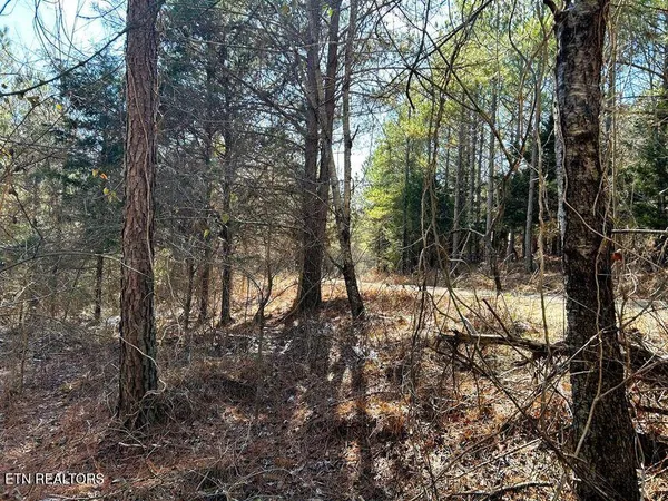 $135,900 | 15.53-ac Redman Rdg Lane, Decatur, TN 37322