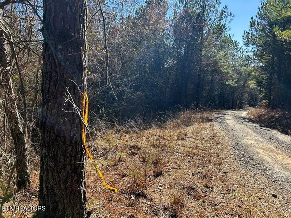 $135,900 | 15.53-ac Redman Rdg Lane, Decatur, TN 37322