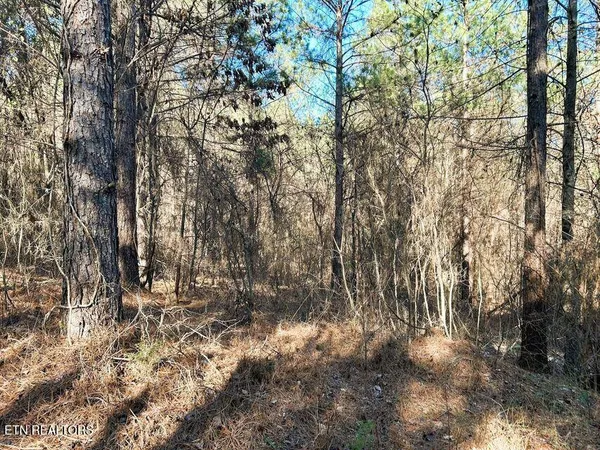 $135,900 | 15.53-ac Redman Rdg Lane, Decatur, TN 37322