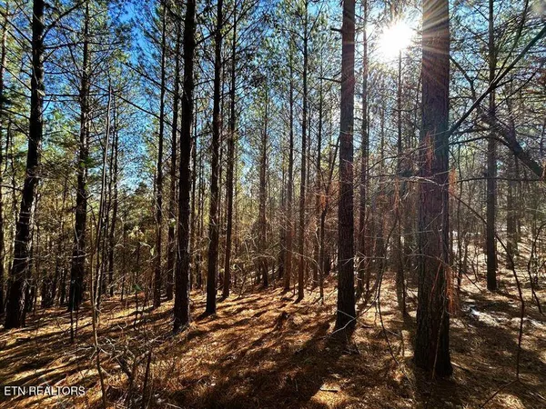 $135,900 | 15.53-ac Redman Rdg Lane, Decatur, TN 37322