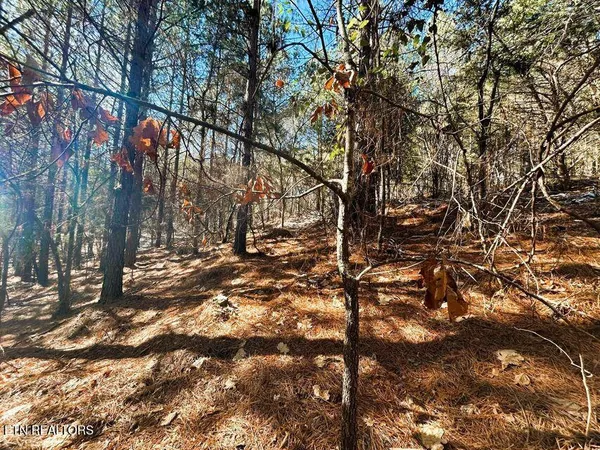 $135,900 | 15.53-ac Redman Rdg Lane, Decatur, TN 37322