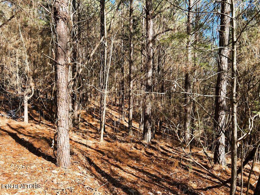 15.53-ac Redman Rdg Lane Decatur, TN 37322 - Photo 9 of 20 lot 2b redman ridge 7