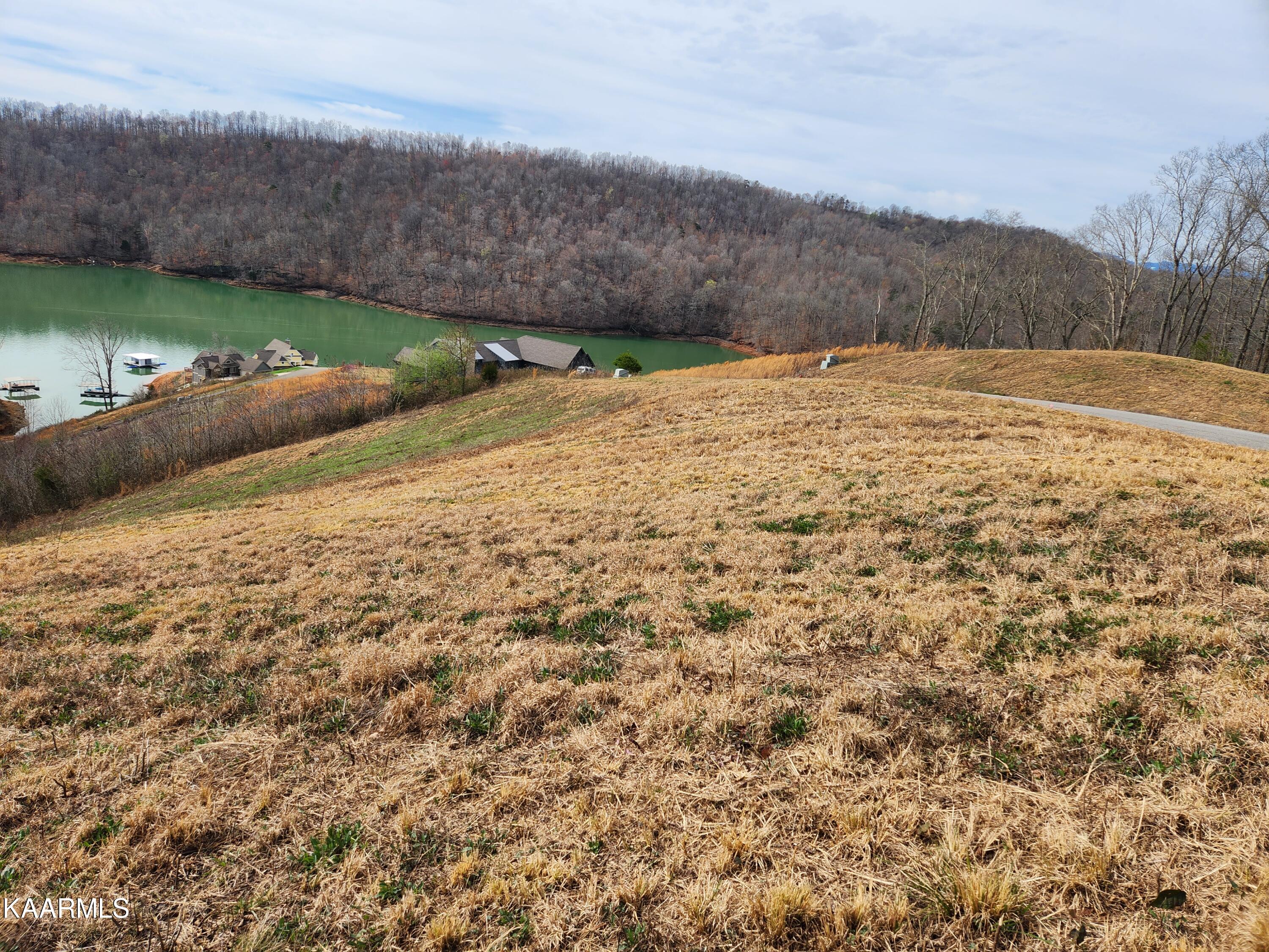 Lot 92 Cameron Loop La Follette, TN 37766 - Photo 4 of 7 sproles lake2