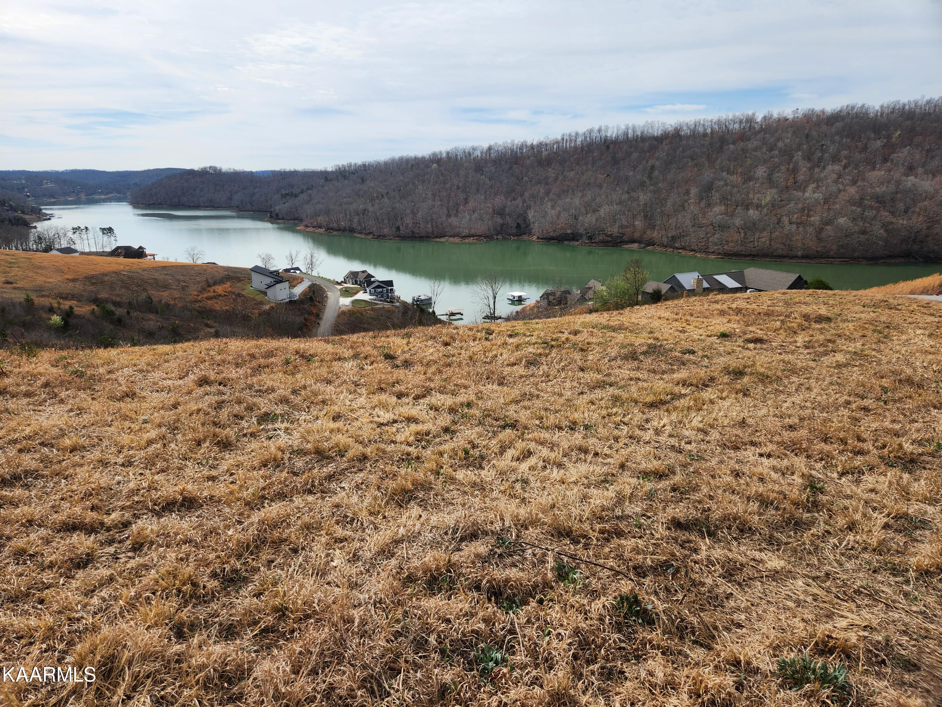 Lot 92 Cameron Loop La Follette, TN 37766 - Photo 5 of 7 sproles lake3