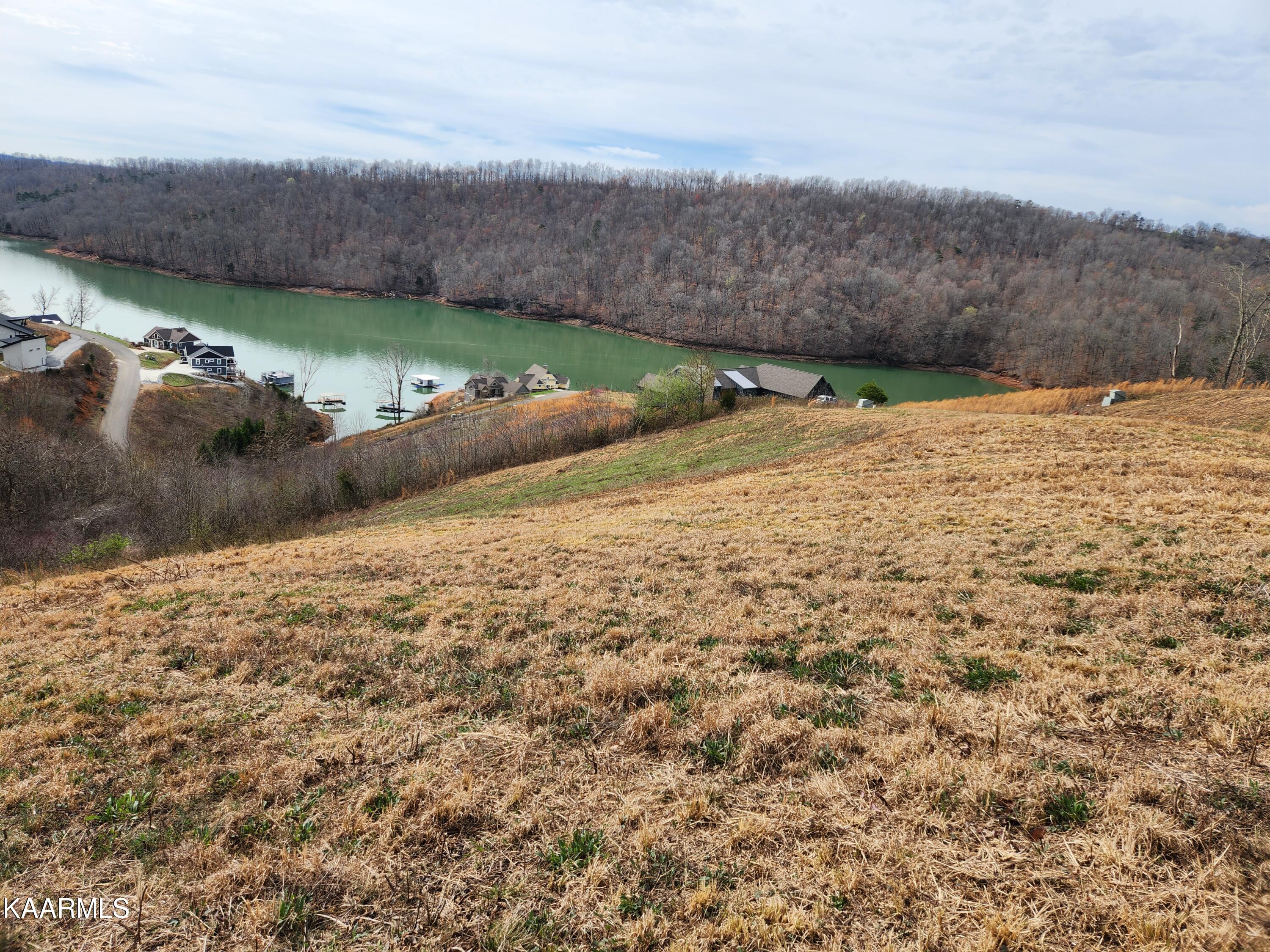 Lot 92 Cameron Loop La Follette, TN 37766 - Photo 6 of 7 sproles lake4