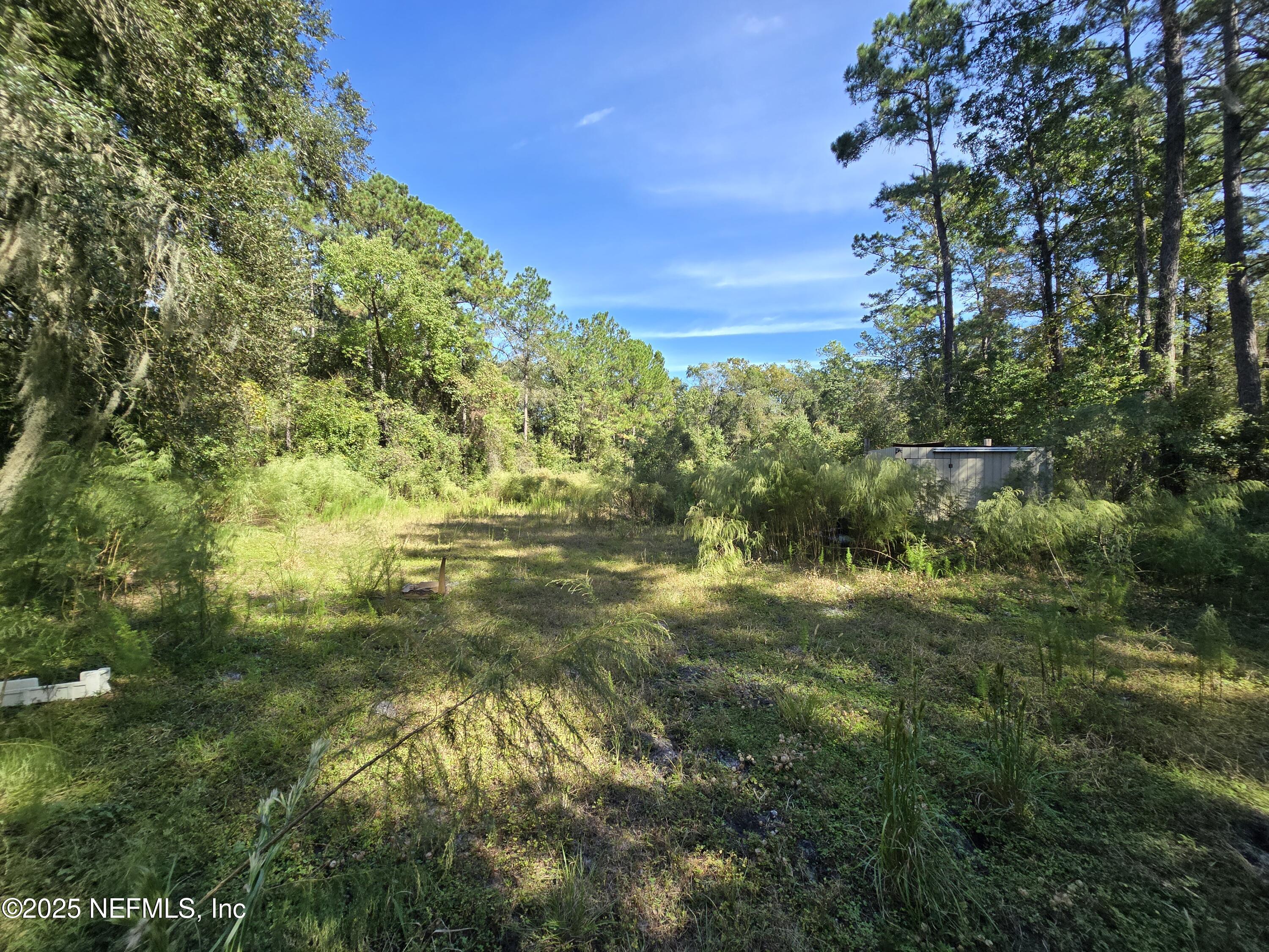 3163 Lannie Road Jacksonville, FL 32218 - Photo 18 of 23 20251025_120712
