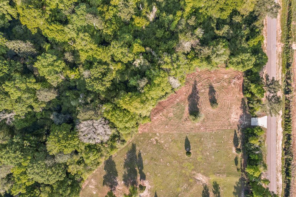 0 Approx4acres Bruner Pond Road Ashford, AL 36312 - Photo 13 of 16