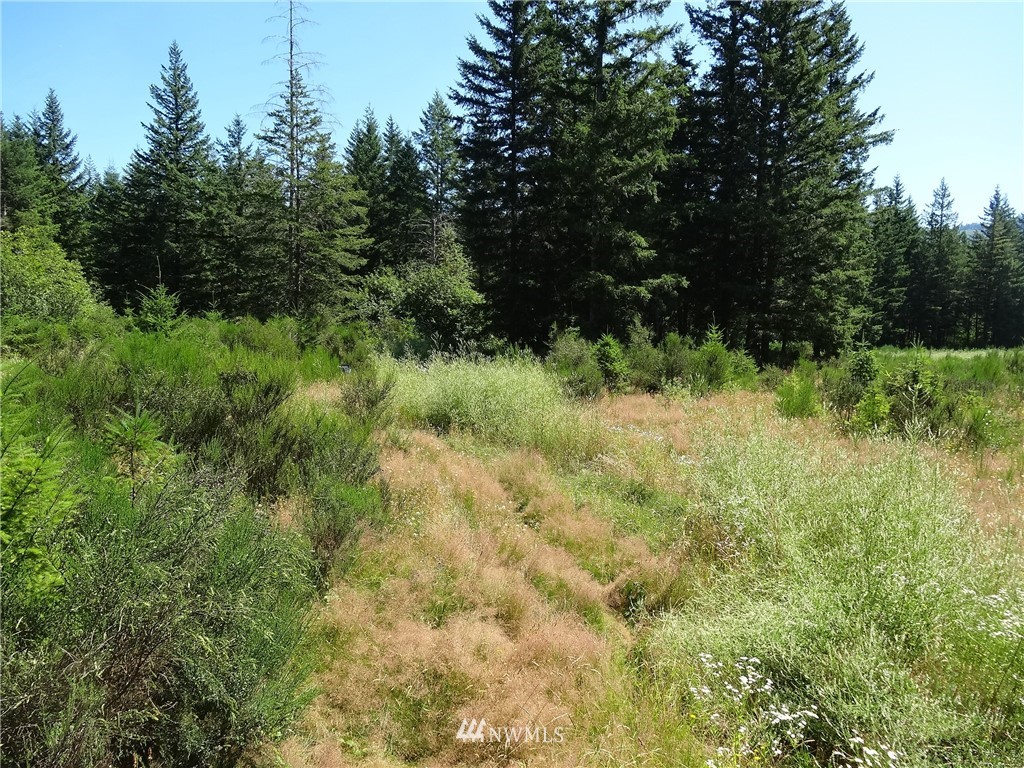 6089 South Pass Road Maple Falls, WA 98266 - Photo 1 of 6
